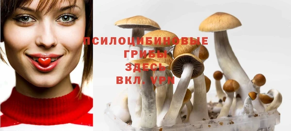 наркотики Пересвет