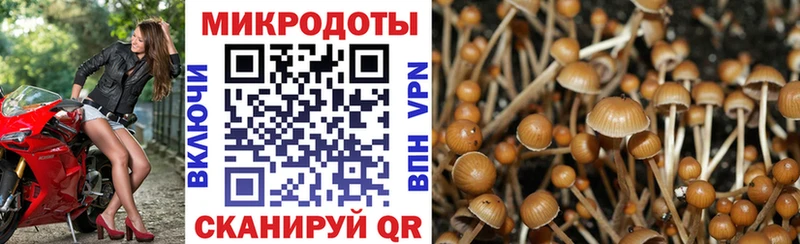 kraken ONION  Сурск  Псилоцибиновые грибы MAGIC MUSHROOMS 